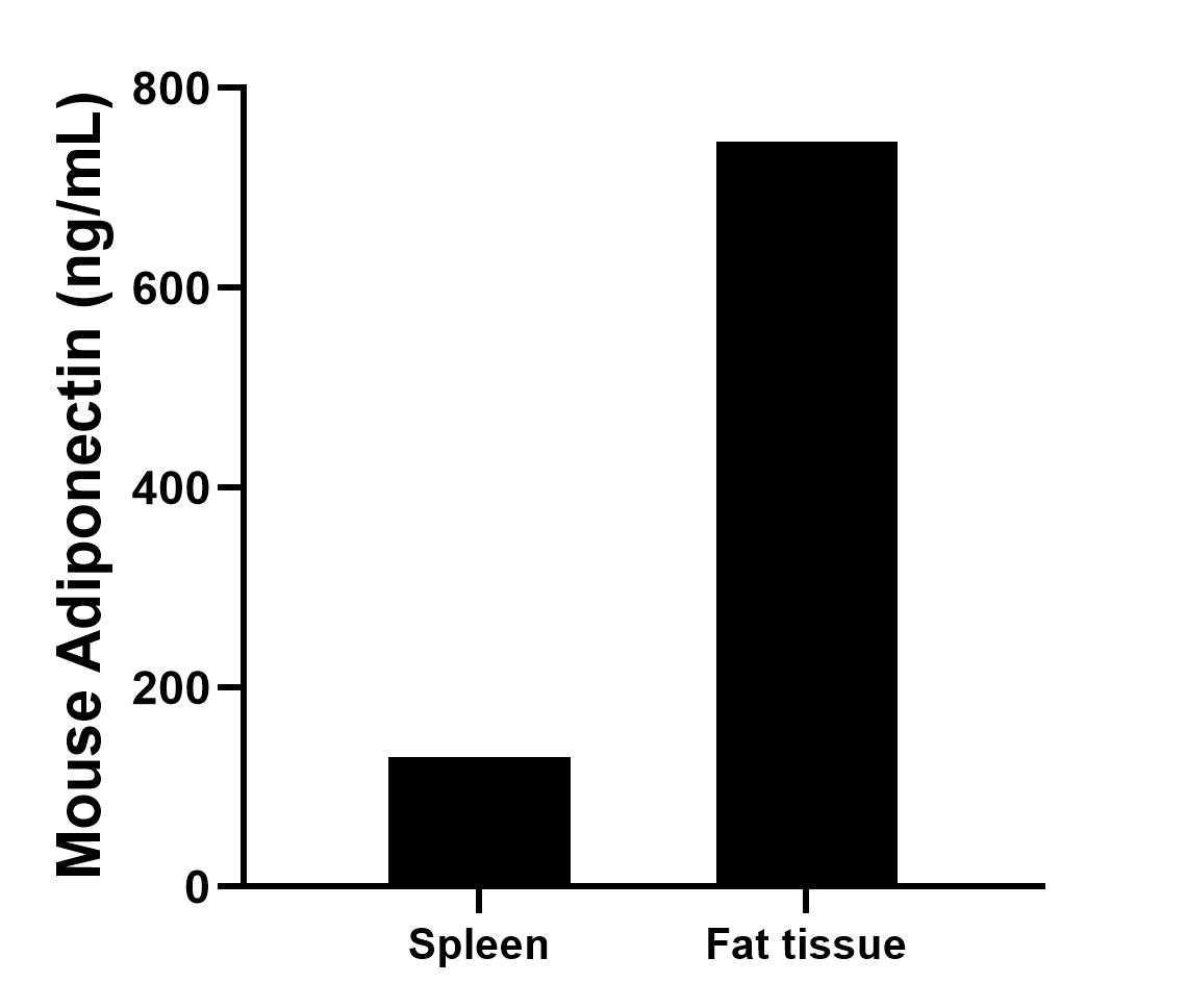 Organs from 2 mice were rinsed with PBS to remove excess blood, chopped into 1-2 mm pieces, homogenized in 5-10 mL of PBS in a tissue homogenizer, and stored at ≤ -80℃ 5 min. After two freeze-thaw cycles were performed to break the cell membranes, the homogenates were centrifuged for 5 minutes at 5000 x g to remove particulate. The mean Adiponectin concentration was determined to be 130.21 ng/mL in spleen homogenates, 745.9 ng/mL in fat tissue homogenates.